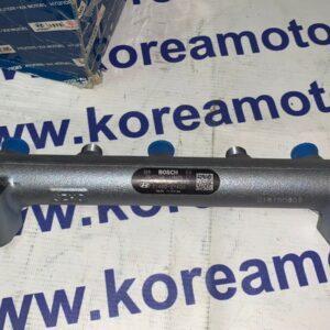 Топливная рейка Hyundai Santa Fe New,Tucson, Sonata NF, Grandeur, Kia Sportage New, Lotze, Carens (D