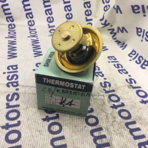 Термостат Asia Combi ZB