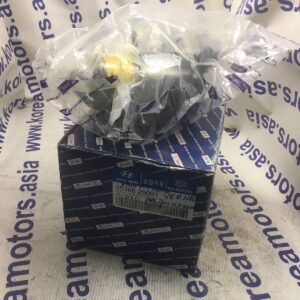 Двигатель вентилятора охлаждения радиатора Hyundai Verna 1,5 Dohc