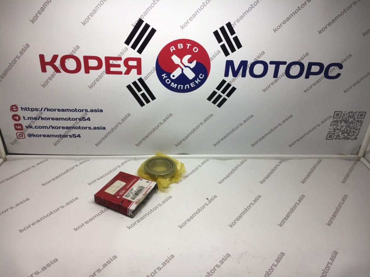 Подшипник дифференциала Kia Sorento (заднего редуктора) Подшипник дифференциала Kia Sorento (заднего редуктора)