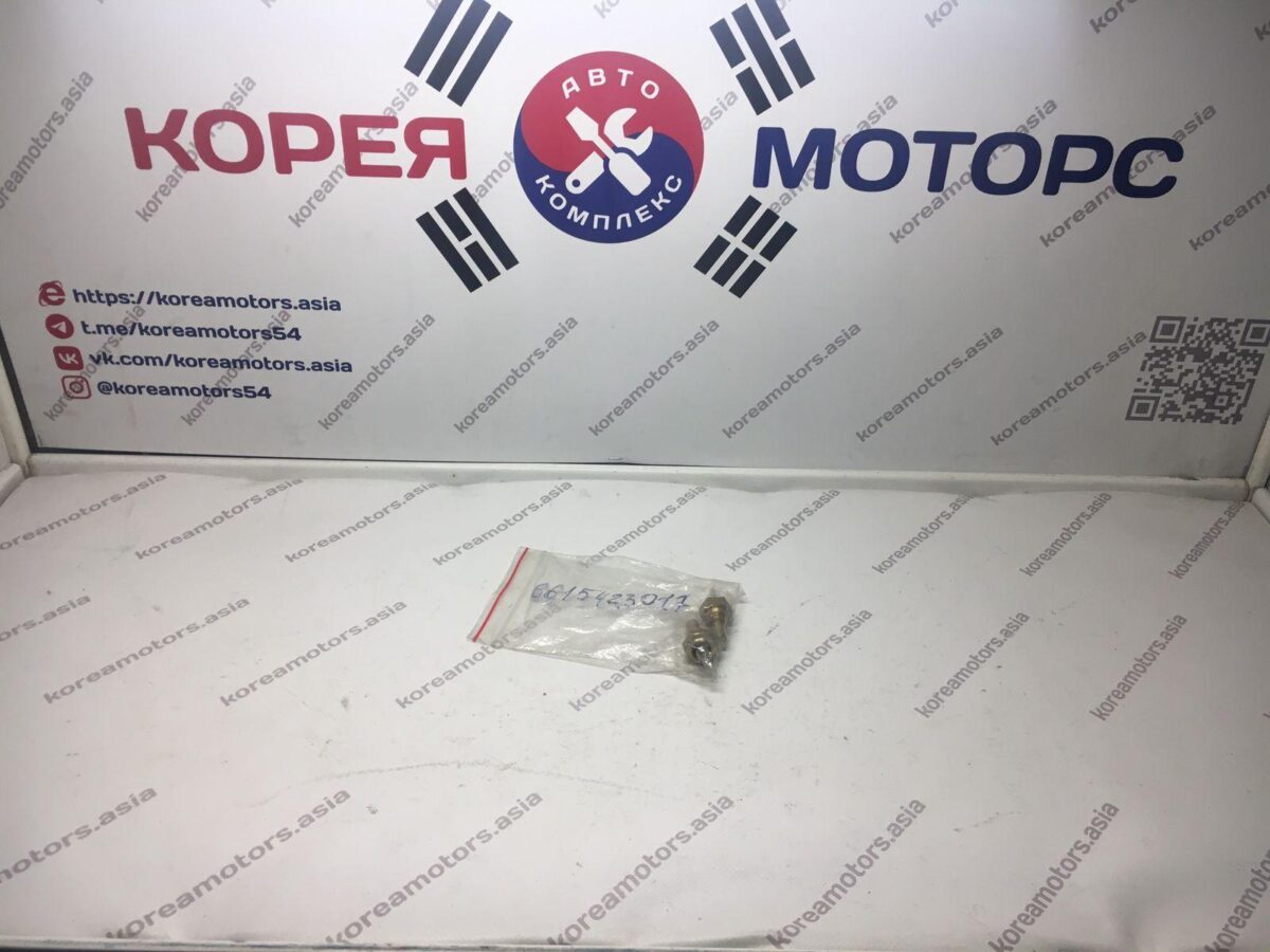 Датчик температуры двигателя SsangYong Musso, Istana, Chairman, Korando, Rexton (600) одноконтактный Датчик температуры двигателя SsangYong Musso, Istana, Chairman, Korando, Rexton (600) одноконтактный