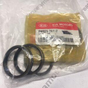 Сальник KIA K3600 (95-03) полуоси задней внешний (43х50х9)